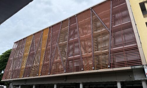 Image7